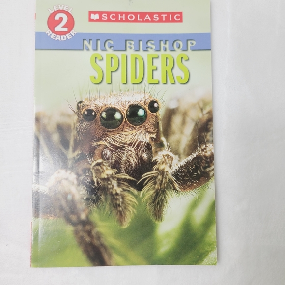 ⭐️ 12 Educational Book Bundle (animals: sharks. Bugs, dinos, insects) ⭐️ - Picture 7 of 13